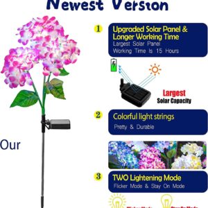 Solar Hydrangea Flower Lights - Image 2